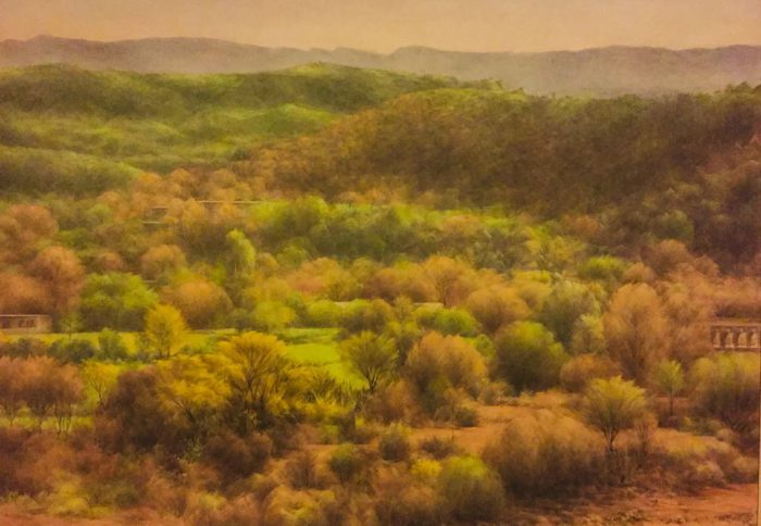 Whatsapp Shahla Rafi E1541412136585