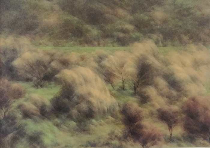 Winter Trees 10Mar2020